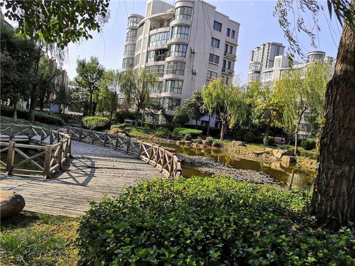 东方丽景水景