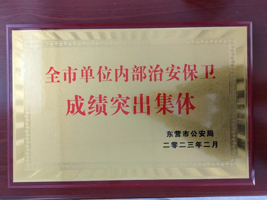 全市单位内部治安保卫成绩突出集体
